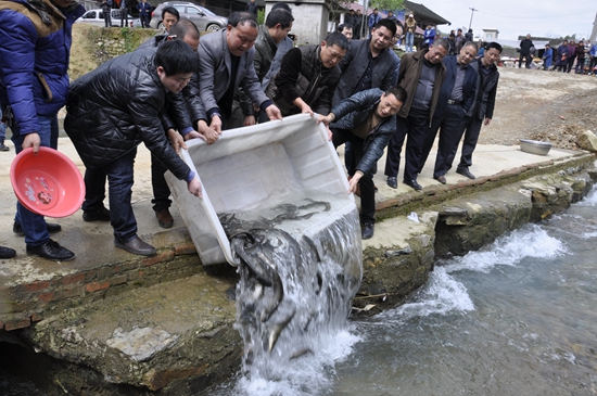 放生鱼苗,放生鱼(图2)