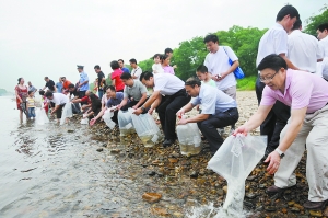 放生鱼苗,放生鱼(图3)